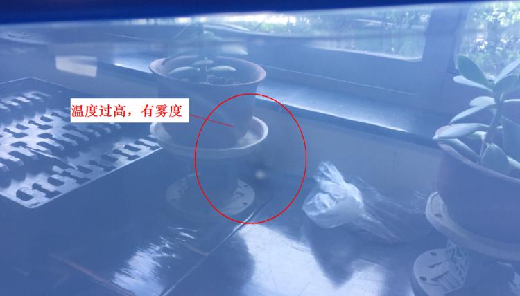 注塑制品質(zhì)量缺陷分析（六）造成制品表面有霧度的主要原因是什么？